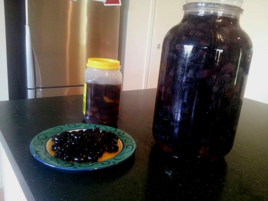A large glass jar of Kalamata olives picked from the seven trees in our garden. As soon as the olives are picked they have to be soaked in clean water for 10 days; the water must be changed every day. The large jar is then filled with saline solution in which the olives will stand for 4 weeks. The plate holds olives ready to eat; they have been marinating in spiced olive oil for at least two weeks. Delicious!