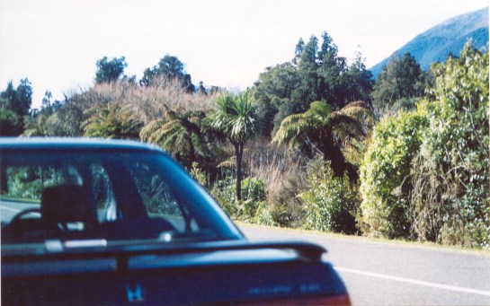 Graves of children and adults buried near Jacksons Bay 1870's