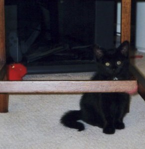 queen-in-training-001