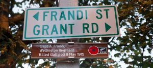 Frandi St 1